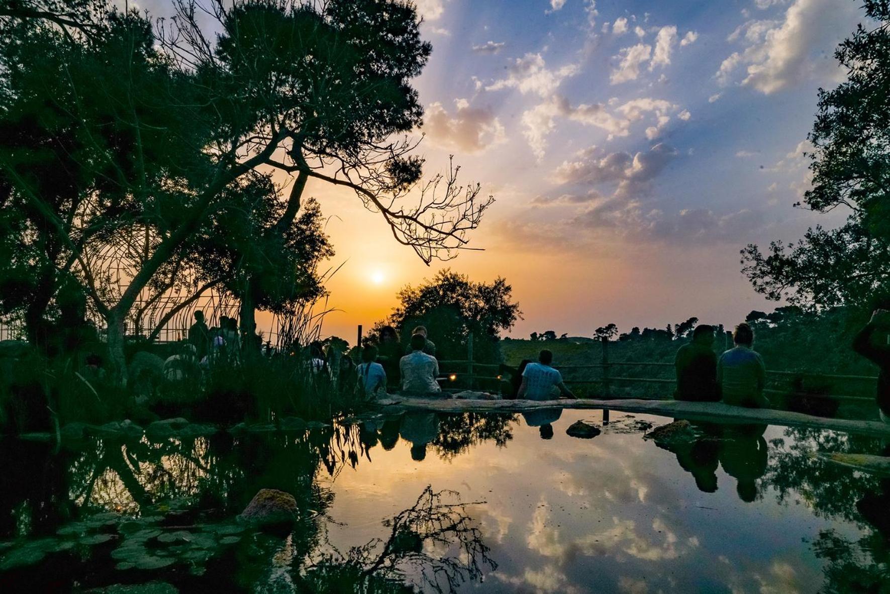 Beit Oren Hotel Extérieur photo